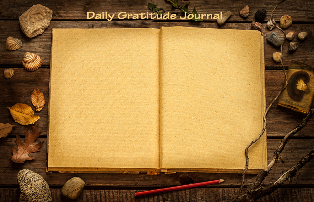 Daily Gratitude Journal Slide